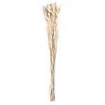 Kép 2/2 - natur-pampafu-csokor-1