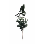 Kép 5/5 - eukaliptusz-munoveny-45-cm-4
