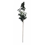 Kép 2/5 - eukaliptusz-munoveny-88-cm-1