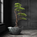 Kép 4/4 - munoveny-algenib-thuja-3
