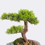 Kép 4/4 - mesterseges-bonsai-fa-3