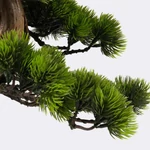 Kép 5/5 - bonsai-mufa-dekorcserepben-4