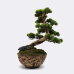 Kép 1/5 - bonsai-mufa-dekorcserepben