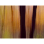 Kép 2/2 - Prémium illat: Amber Musc N° 43