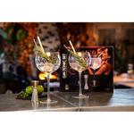 Kép 6/6 - gin-tonic-szett-5-reszes-5