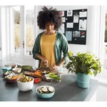 Kép 3/3 - salata-szervirozo-halvanykek-szinben-2-db-2