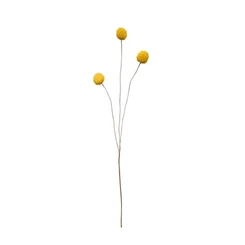 dekorag-sarga-pompon